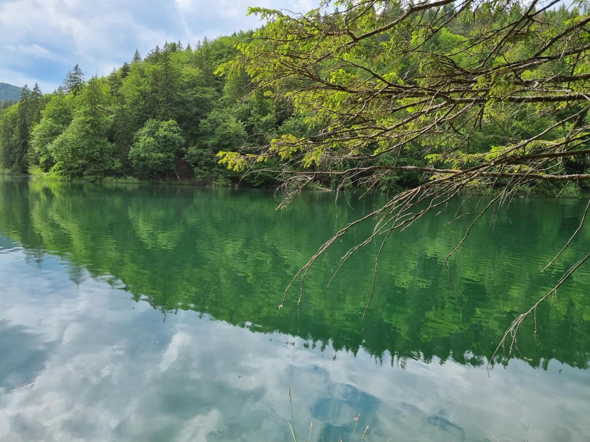 Vrhovine Villa Lady Di Plitvice מראה חיצוני תמונה
