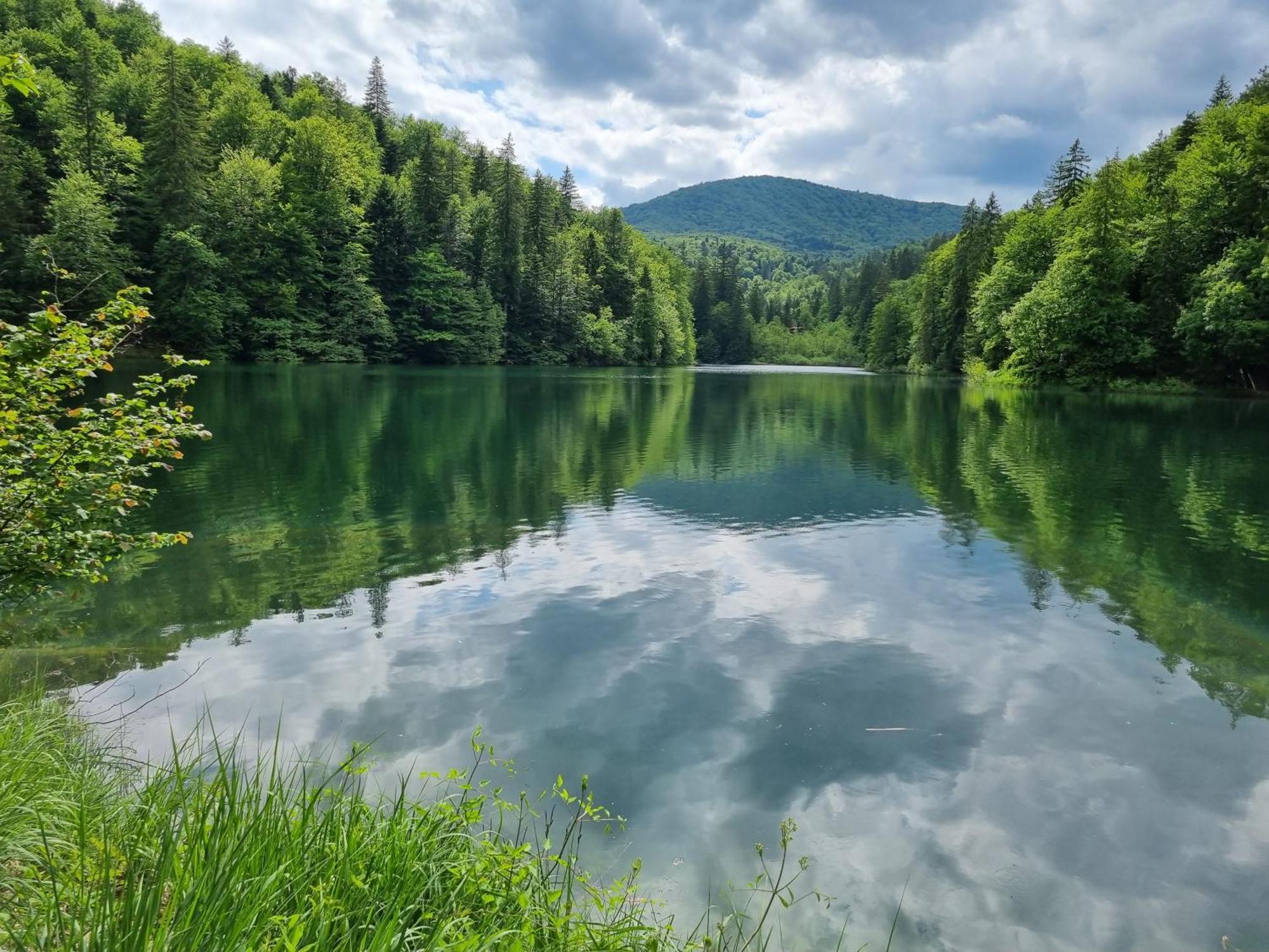 Vrhovine Villa Lady Di Plitvice מראה חיצוני תמונה