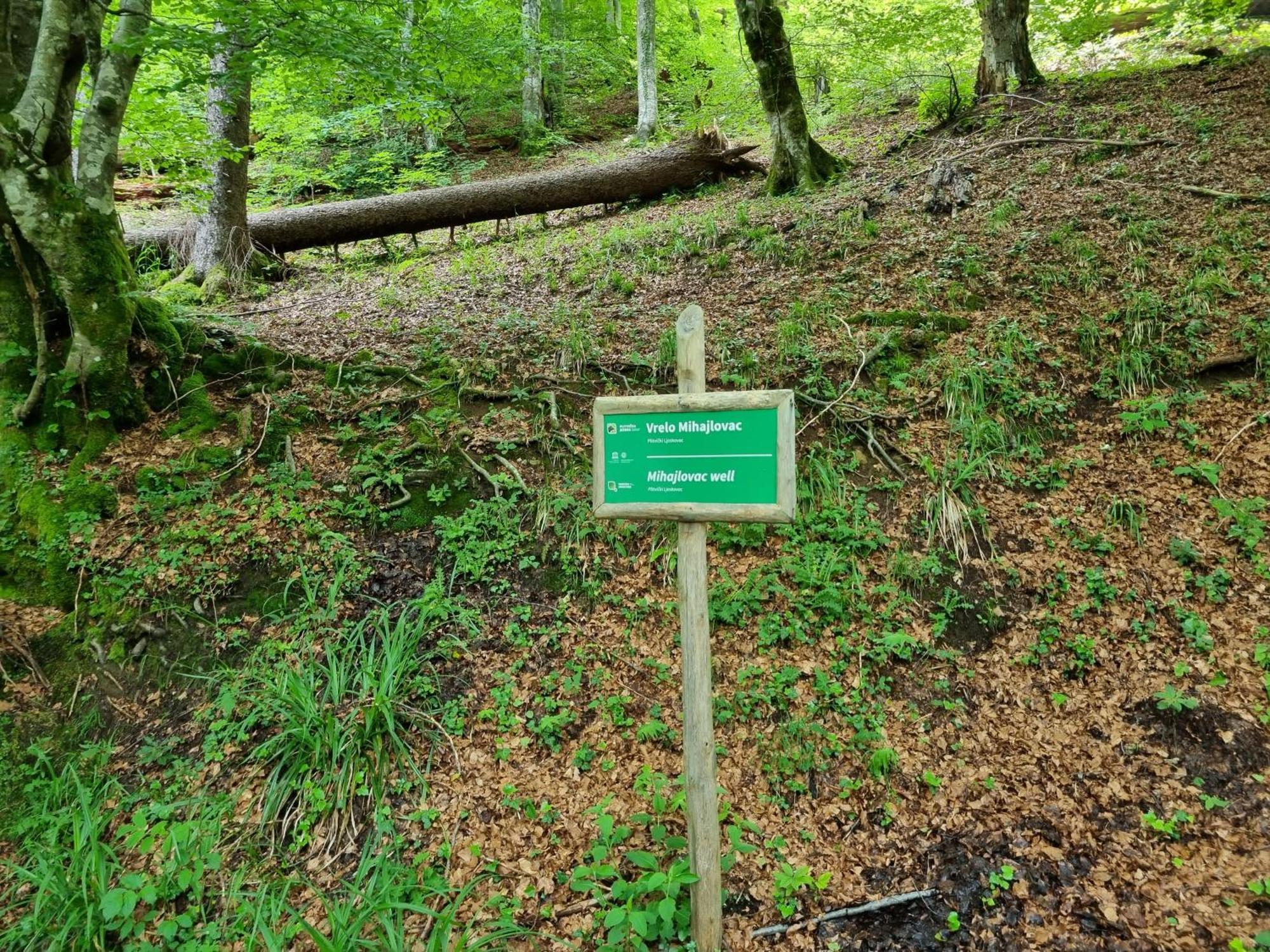 Vrhovine Villa Lady Di Plitvice מראה חיצוני תמונה
